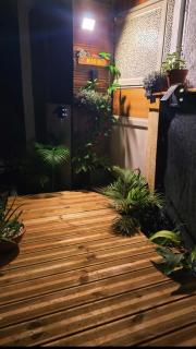 Appartement Belsol Ambiance tropicale et détente - 9