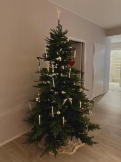 Finnish design villa with outdoor jacuzzi - 4