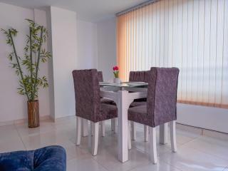 Amplio Y Lujoso Apartasuite En El Centro - 7