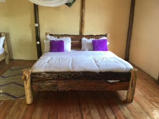 Migogo Gorilla Lodge - 6