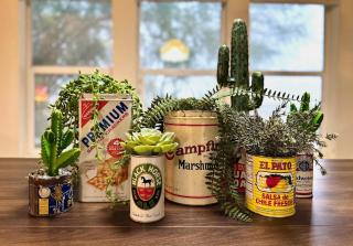 Some Tuesday Ranch - 2