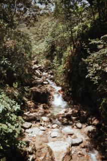 Ecohotel Tierra de Agua - Cocorná - 8