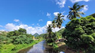 Soleil du Carbet - 1