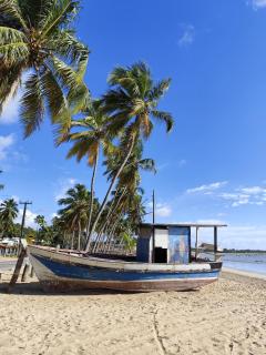 Flat Japaratinga Beach - Japaratinga - 8