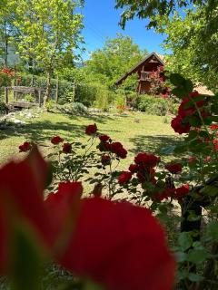 CicloPark Morano Calabro - Morano Calabro - 7