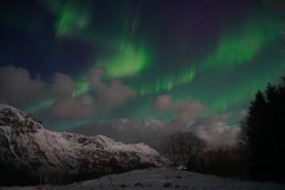 Premium Rural Apartment - Leknes - 4