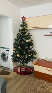 Boulevard apartament - 6