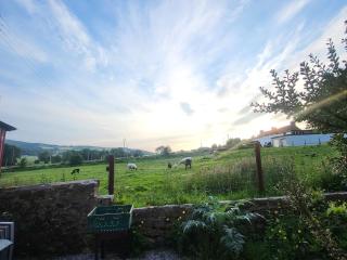 Country Living next to the City - 1