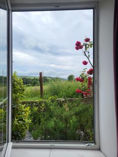 Country Living next to the City - 4