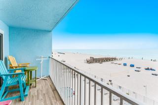 Sand Dollar 311 - 0
