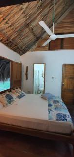 La Coralina azul - 2