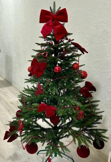 Зелений ретрит - 7