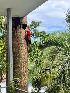 Zen Zaru Free MA Park Tour & Breakfast - 2