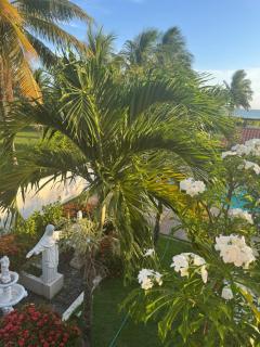 Casa de Praia com Piscina em frente à praia para até 32 pessoas - 6