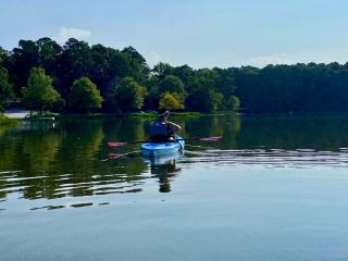 Retreat 4BR Sleeps 10 plus, 8mi LakePoint, Red Top - Acworth - 6