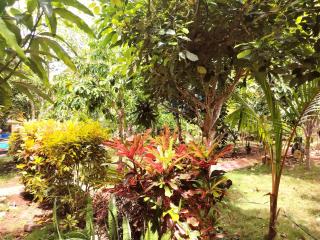 Homestay Natural Paradise habitación 3 - 9