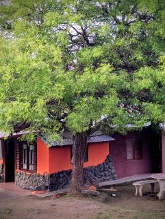 Cabaña Los Algarrobos - 9