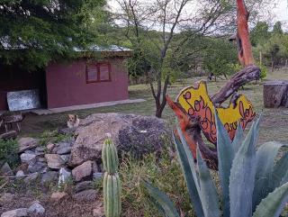 Cabaña Los Algarrobos - 7