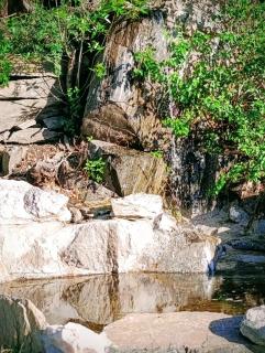 Cabaña Los Algarrobos - 5