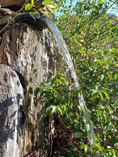 Cabaña Los Algarrobos - 2