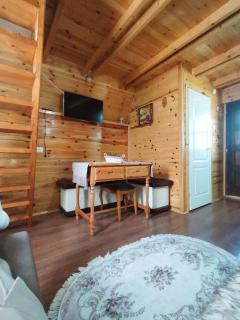 Planinska kuca-Jovanovic! - 8