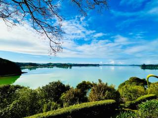 Bay of Islands - Lemon Tree Cottage, Chic secluded epic sea views - 9