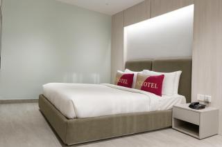 Aceotel Premier Ujjayanta, Ujjain - 3