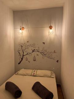 Canto do Florescer - 7