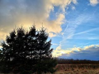 Luxury Spa Retreat in Thorsager - By Traum Ferienwohnungen - 5