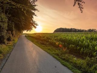 3 person holiday home in Tranekær - 6