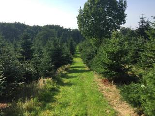 4 person holiday home in Odder - 4