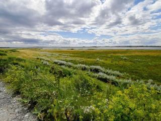 8 person holiday home in Otterup-By Traum - 6