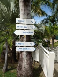 Bungalow - Pointe Faula - 9