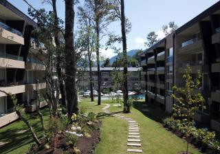 Entorno Natural, cerca del centro de Pucón Parking Privado - 8