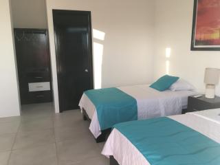 Bluefootedboobies - 9