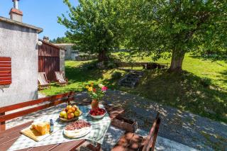 Apartment with BBQ in Kozljak 8746 - 0