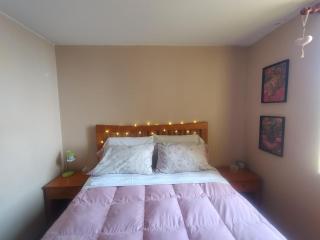 La mejor vista de cavancha - 5