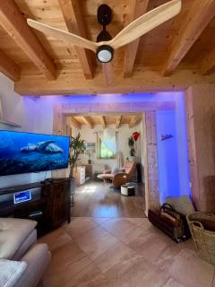 "Biohauszeit" im Tiroler-Holzhaus - Bad Elster - 2