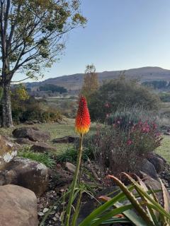 Willow Weir River Cottage - 1