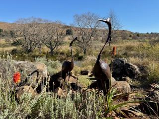 Willow Weir River Cottage - 2