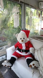 Casa Flotante Nenufar - 7