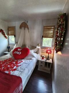 Casa Flotante Nenufar - 9