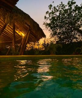 The Sanctuary Wellness Resort - 5