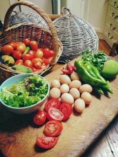 Stone Guest House Ebenezer - Ebenezer - 8