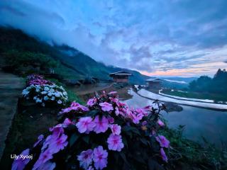 Tổ Ếch Homestay - 6