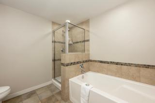 Ski-In / Ski-Out 1 Bedroom Condo base of WP Resort - 2