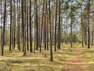 4 star holiday home in BRÖSARP - 2