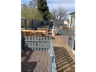 Nordlicht Comfortable holiday residence - 7