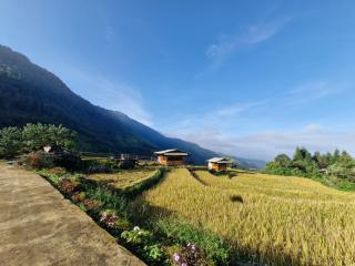 Tổ Ếch Homestay - 9