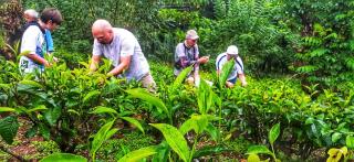 Tea Escape Holiday Villa and Cabanas - 3